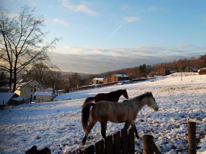 Gorgeous Holiday Home In Stoumont With Garden Luaran gambar